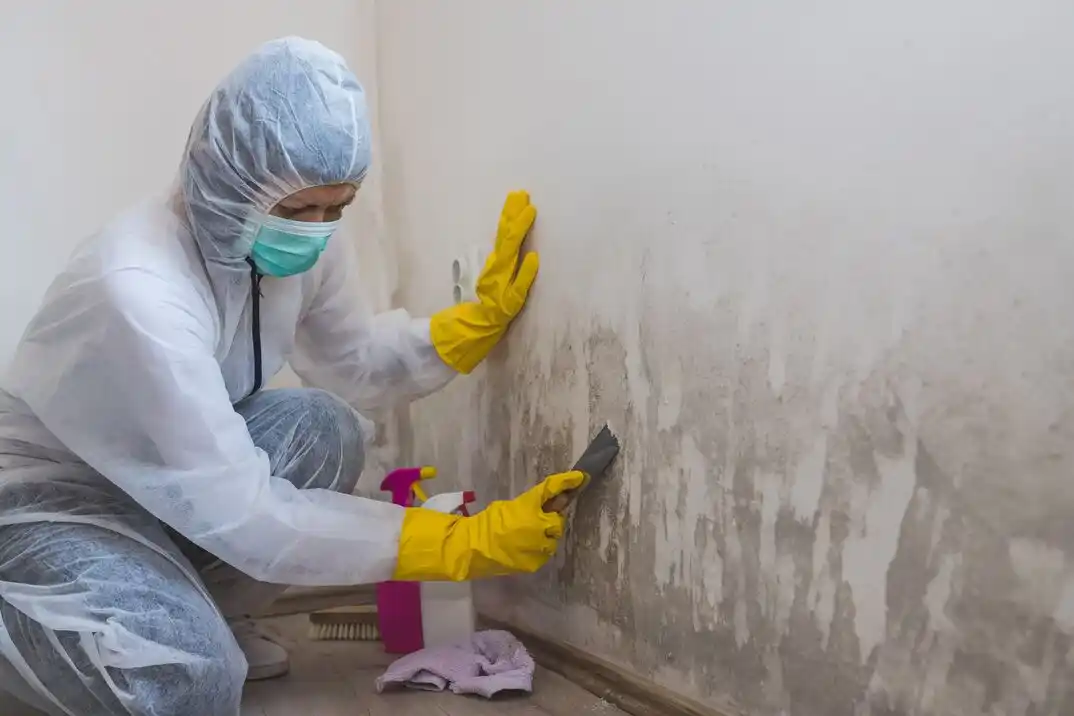 water damage restoration service Brookville